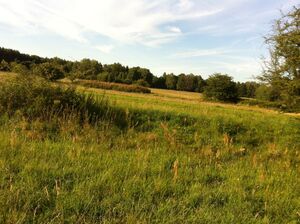 Trainierbahn Neuenhagen