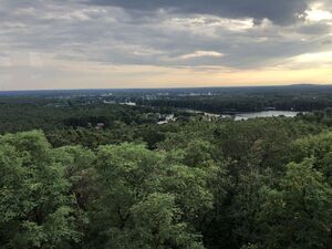 Blick vom Kranichsberg über den Wahlkreis 31, Richtung Erkner